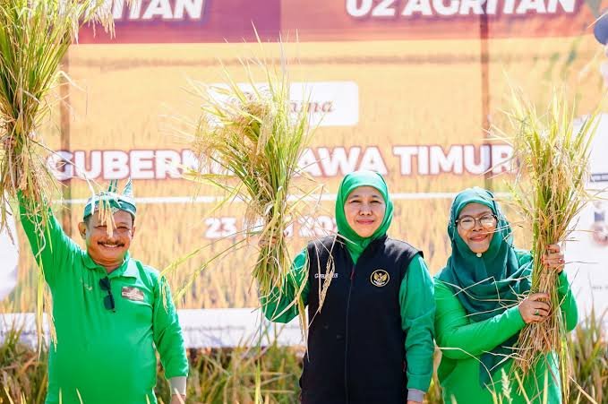 Calon Gubernur Jawa Timur, Khofifah Indar Parawansa (Istimewa)