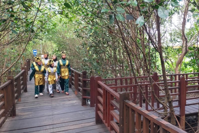 Ilustrasi pelajar di Kebun Raya Mangrove Surabaya (dok. Jatim Inside)