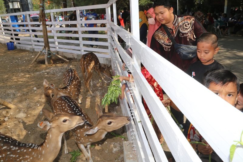 Satwa di Adventureland Romokalisari Surabaya (Istimewa)