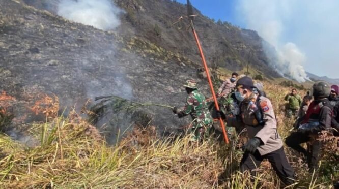 Petugas gabungan berjibaku melakukan pemadaman api (dok. Polres Probolinggo)